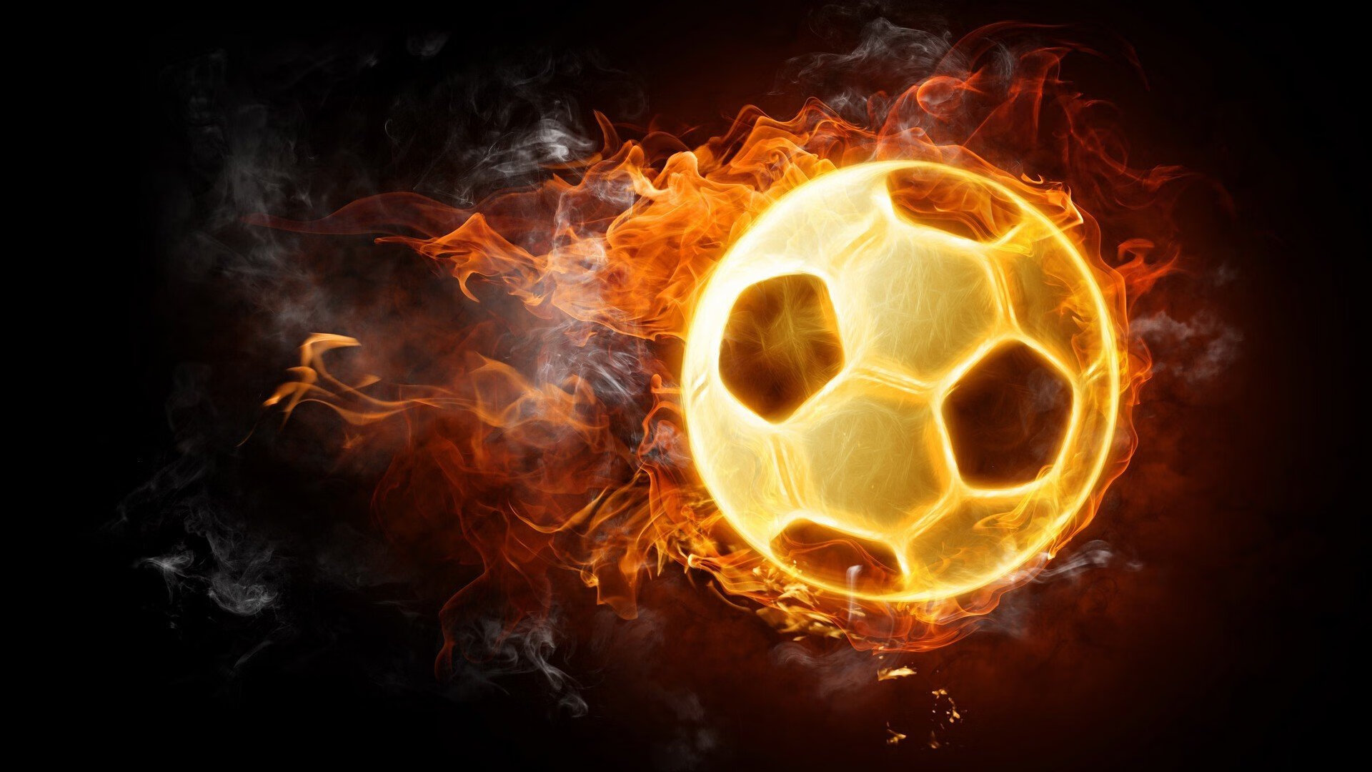 开云体育登入-自由搏击教学视频进入教育短视频平台，自由搏击教学app  第2张