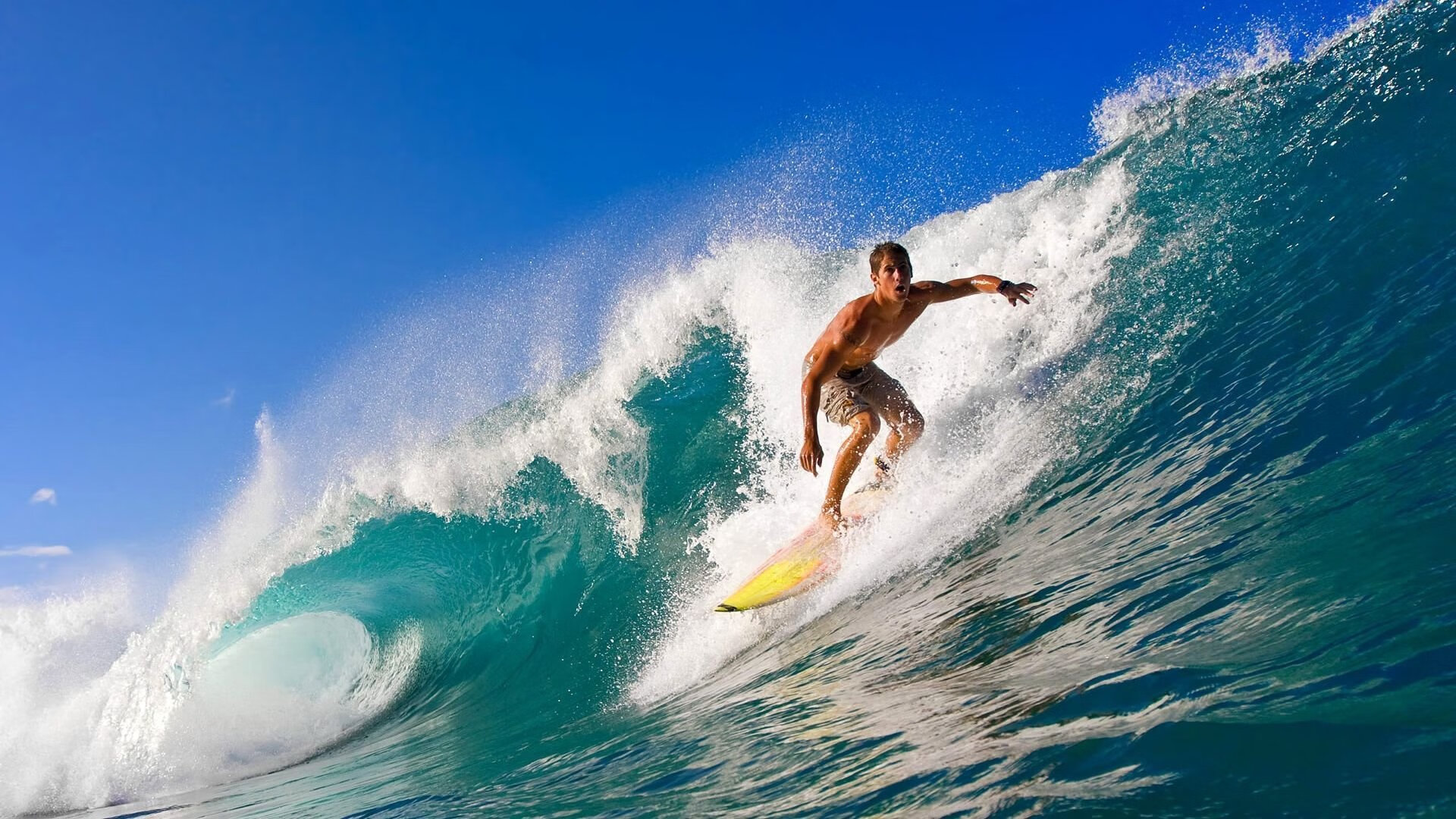 2026体育赛事冠军热门，2020体育赛事一览表